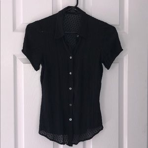 The Limited short sleeve button blouse sheer